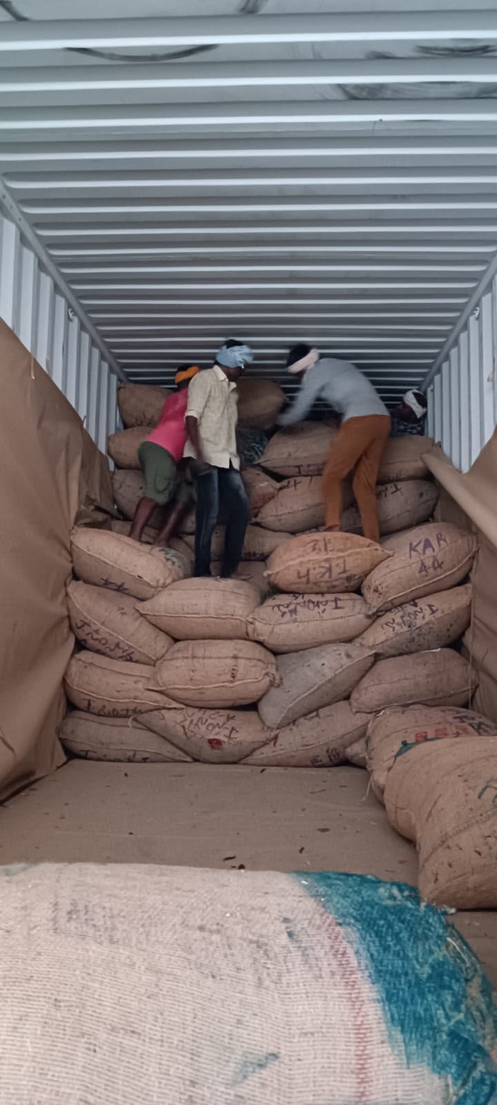 Jute sacks loaded in container